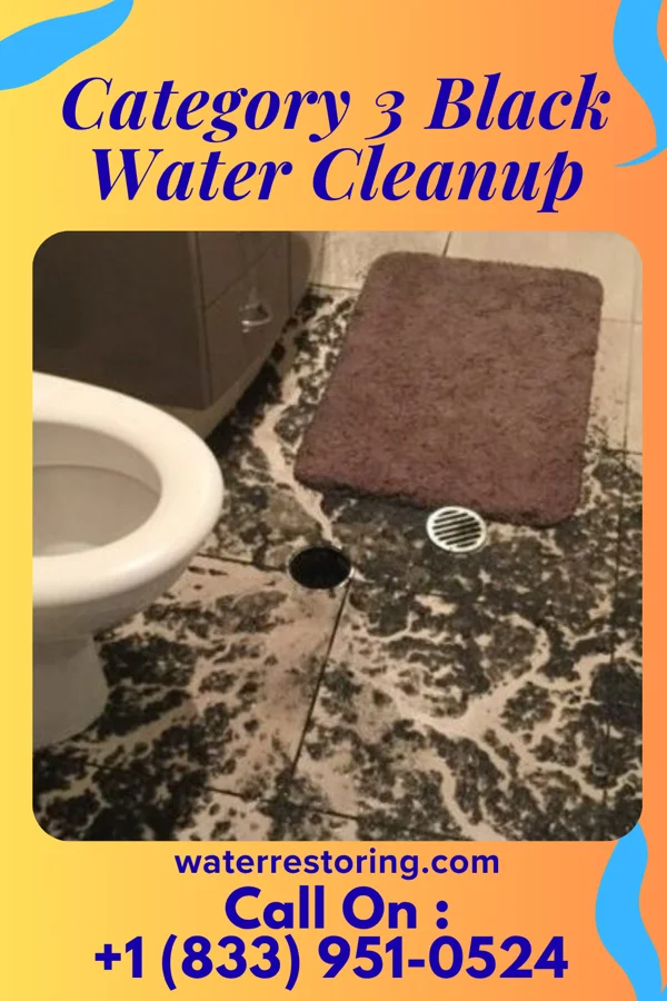 Category 3 Black Water Cleanup in Golden City, MO