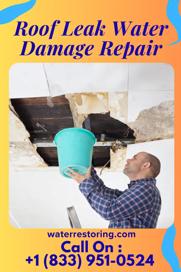 Roof Leak Water Damage Repair in Golden City, MO